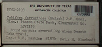 Image Associated With the Occurence